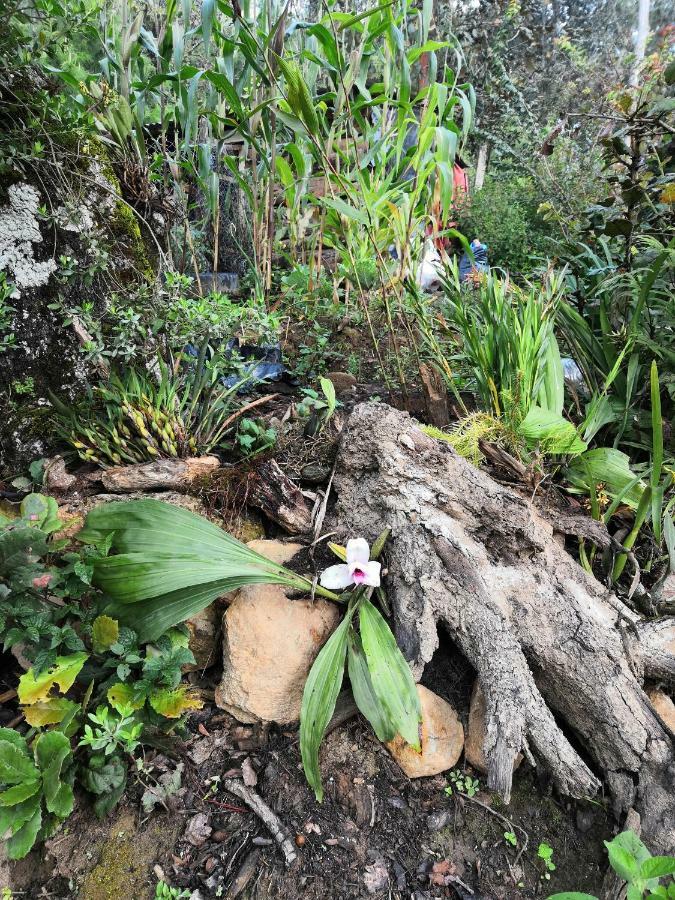 Renta De Cabanas, Centro Ecoturistico Rural Sustentable Labor San Jose San Cristóbal de Las Casas Zewnętrze zdjęcie