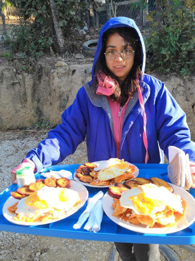 Renta De Cabanas, Centro Ecoturistico Rural Sustentable Labor San Jose San Cristóbal de Las Casas Zewnętrze zdjęcie